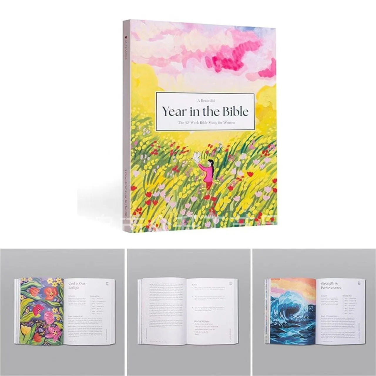 52 Week Bible Study Handbook for Women in The Beautiful Year of The Bible