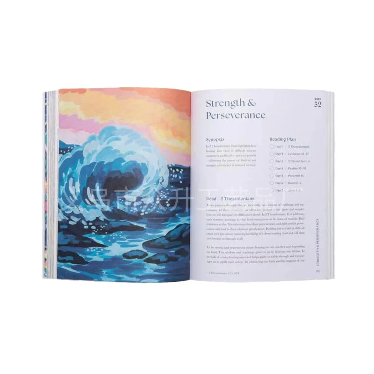 52 Week Bible Study Handbook for Women in The Beautiful Year of The Bible