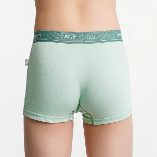 4pcs Big Size Children Boys Panties Cotton Motor Cool Cartoon Print Boxers Kid Boy Briefs Student UnderWear Underpanties M-2XL