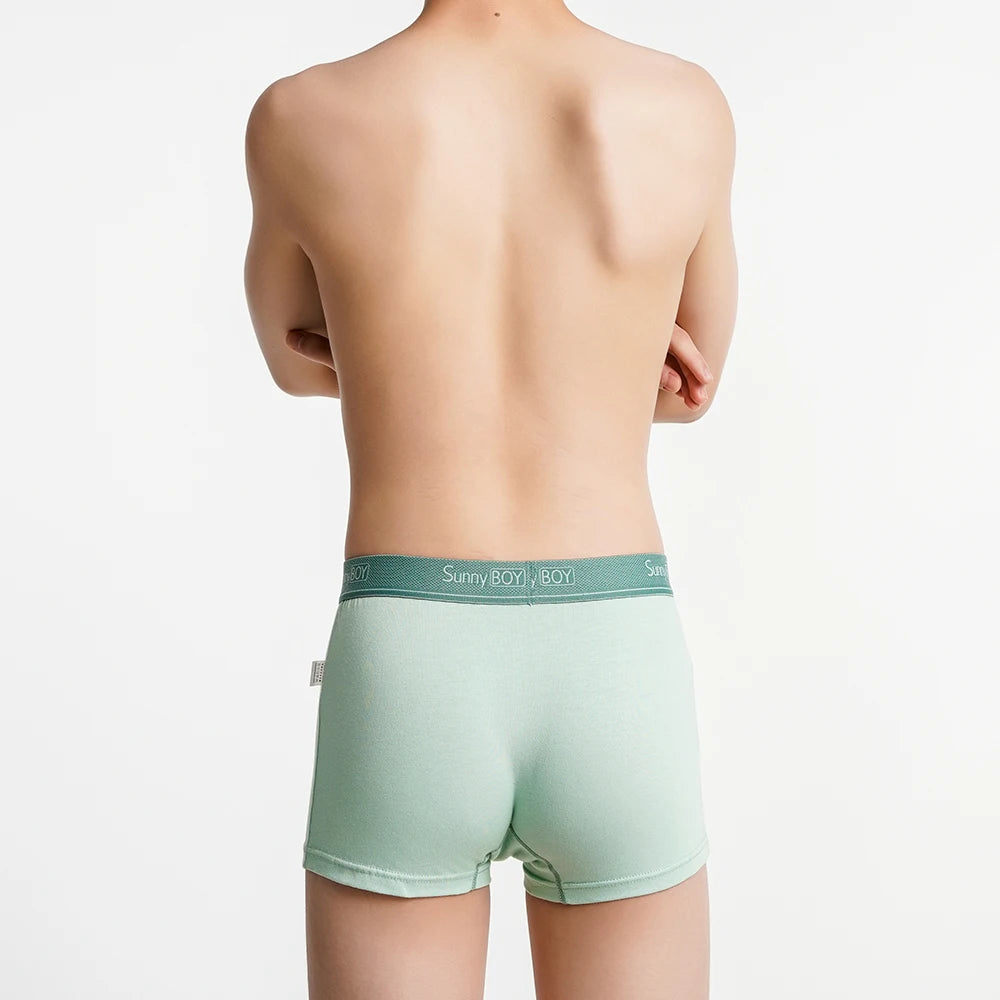 4pcs Big Size Children Boys Panties Cotton Motor Cool Cartoon Print Boxers Kid Boy Briefs Student UnderWear Underpanties M-2XL