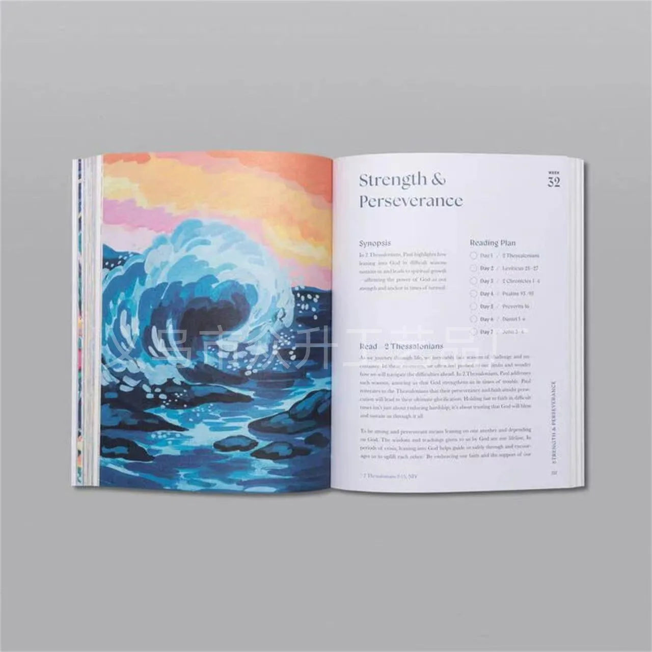 52 Week Bible Study Handbook for Women in The Beautiful Year of The Bible