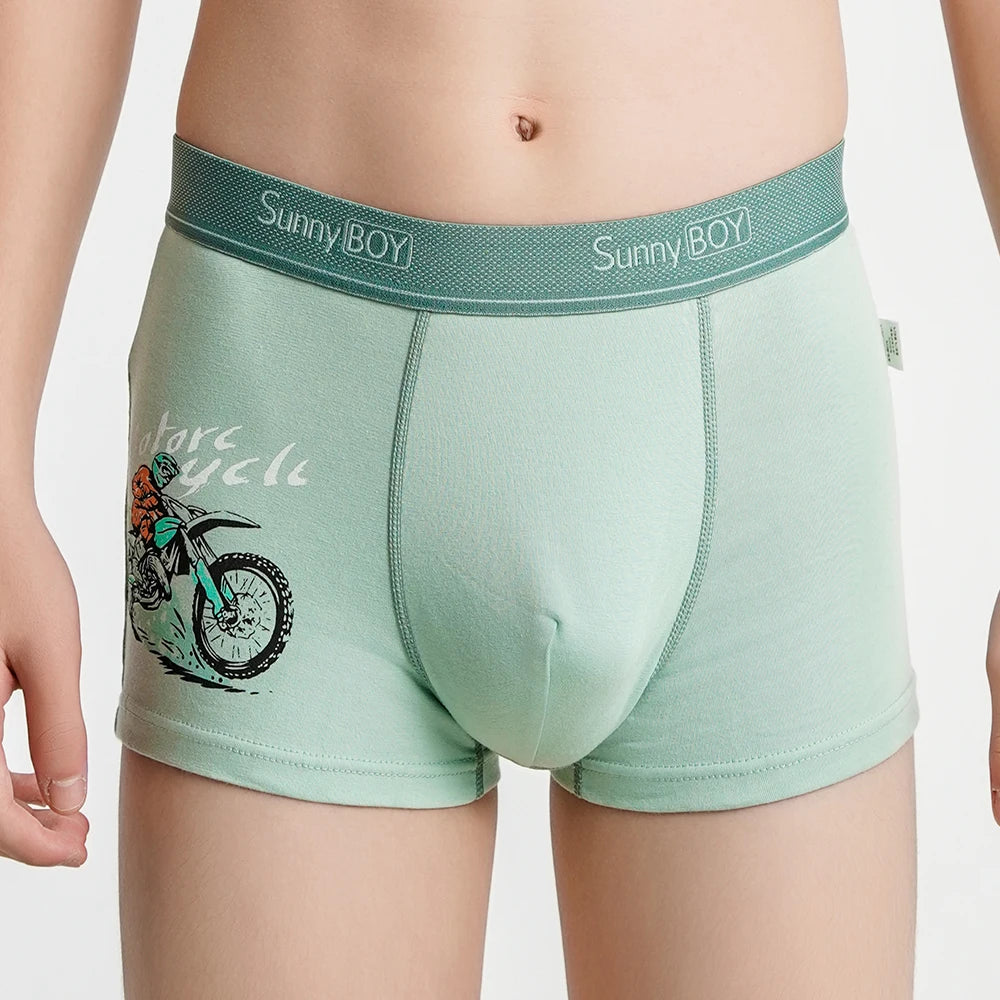 4pcs Big Size Children Boys Panties Cotton Motor Cool Cartoon Print Boxers Kid Boy Briefs Student UnderWear Underpanties M-2XL