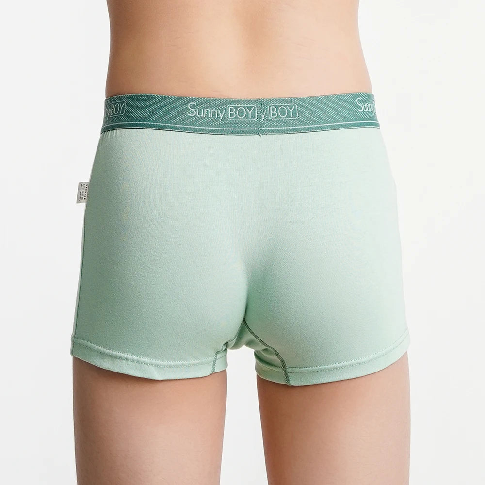 4pcs Big Size Children Boys Panties Cotton Motor Cool Cartoon Print Boxers Kid Boy Briefs Student UnderWear Underpanties M-2XL