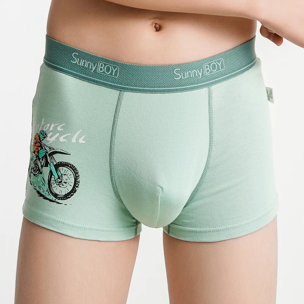 4pcs Big Size Children Boys Panties Cotton Motor Cool Cartoon Print Boxers Kid Boy Briefs Student UnderWear Underpanties M-2XL