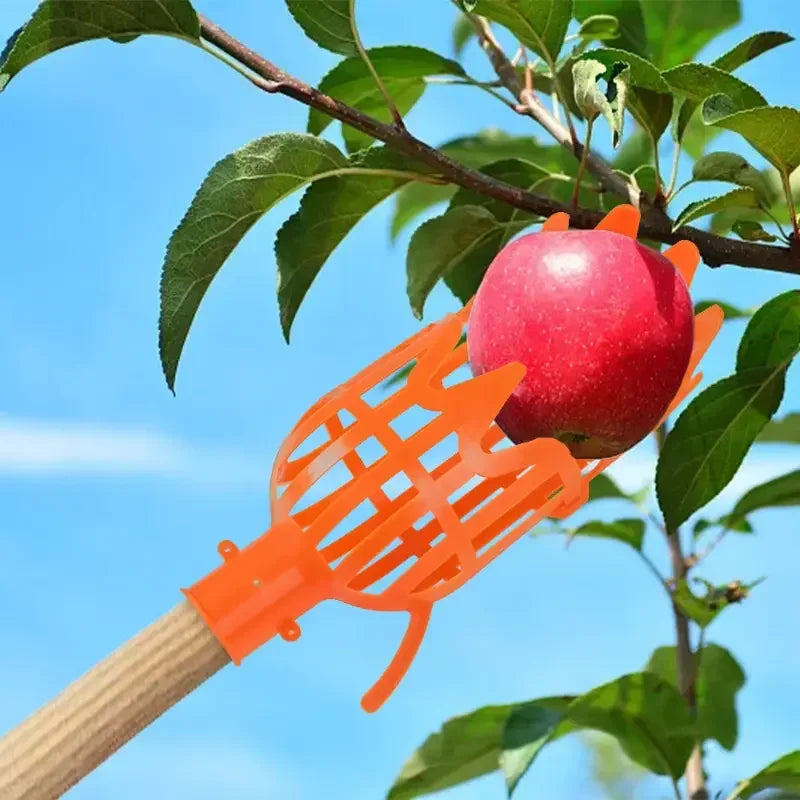 1PC High-Altitude Fruit Picker, Plastic Garden Harvesting Tool for Loquat, Bayberry, Peach, Plum & Jujube