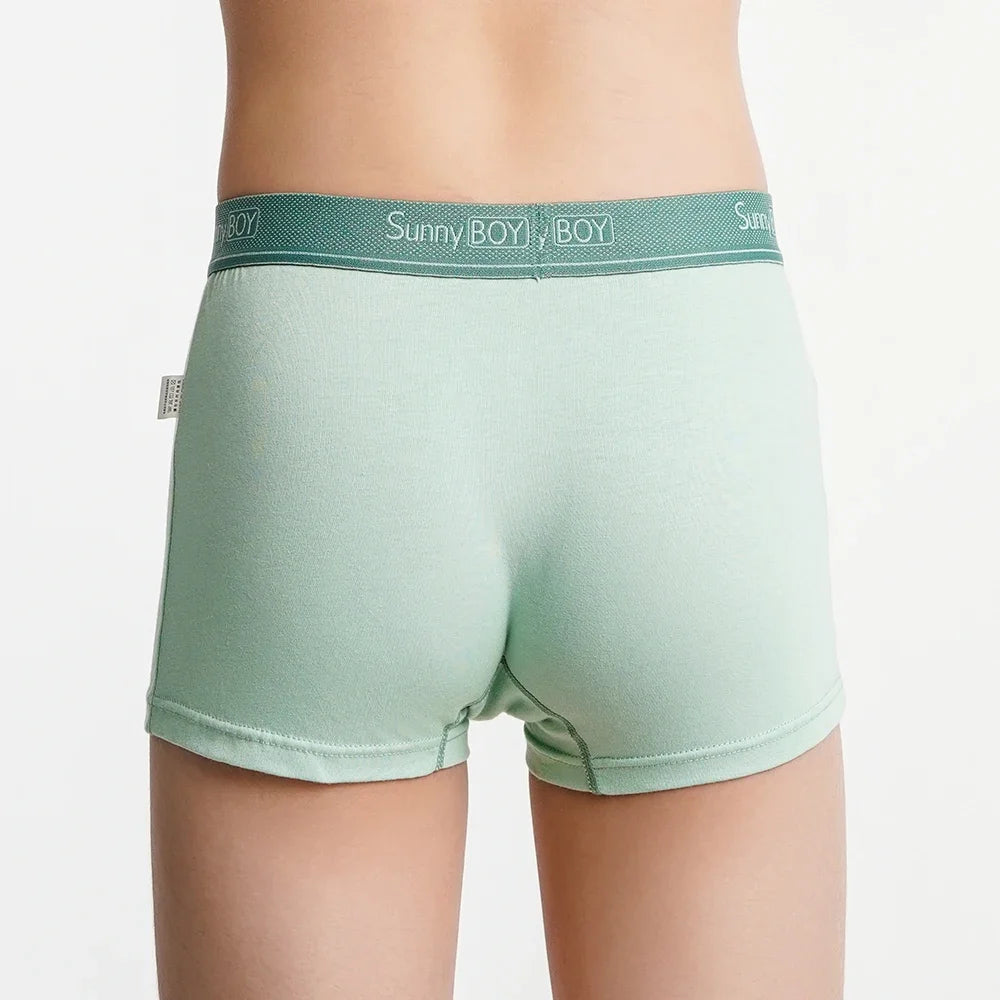 4pcs Big Size Children Boys Panties Cotton Motor Cool Cartoon Print Boxers Kid Boy Briefs Student UnderWear Underpanties M-2XL