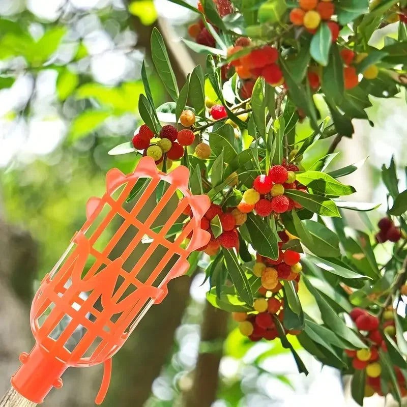 1PC High-Altitude Fruit Picker, Plastic Garden Harvesting Tool for Loquat, Bayberry, Peach, Plum & Jujube