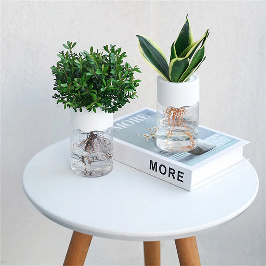 Mini Hydroponic Flower Pot Home Vase Decor Transparent Imitation Glass Soilless Plant Pots Green Plants Pot For Home Decorations