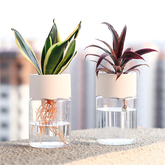 Mini Hydroponic Flower Pot Home Vase Decor Transparent Imitation Glass Soilless Plant Pots Green Plants Pot For Home Decorations