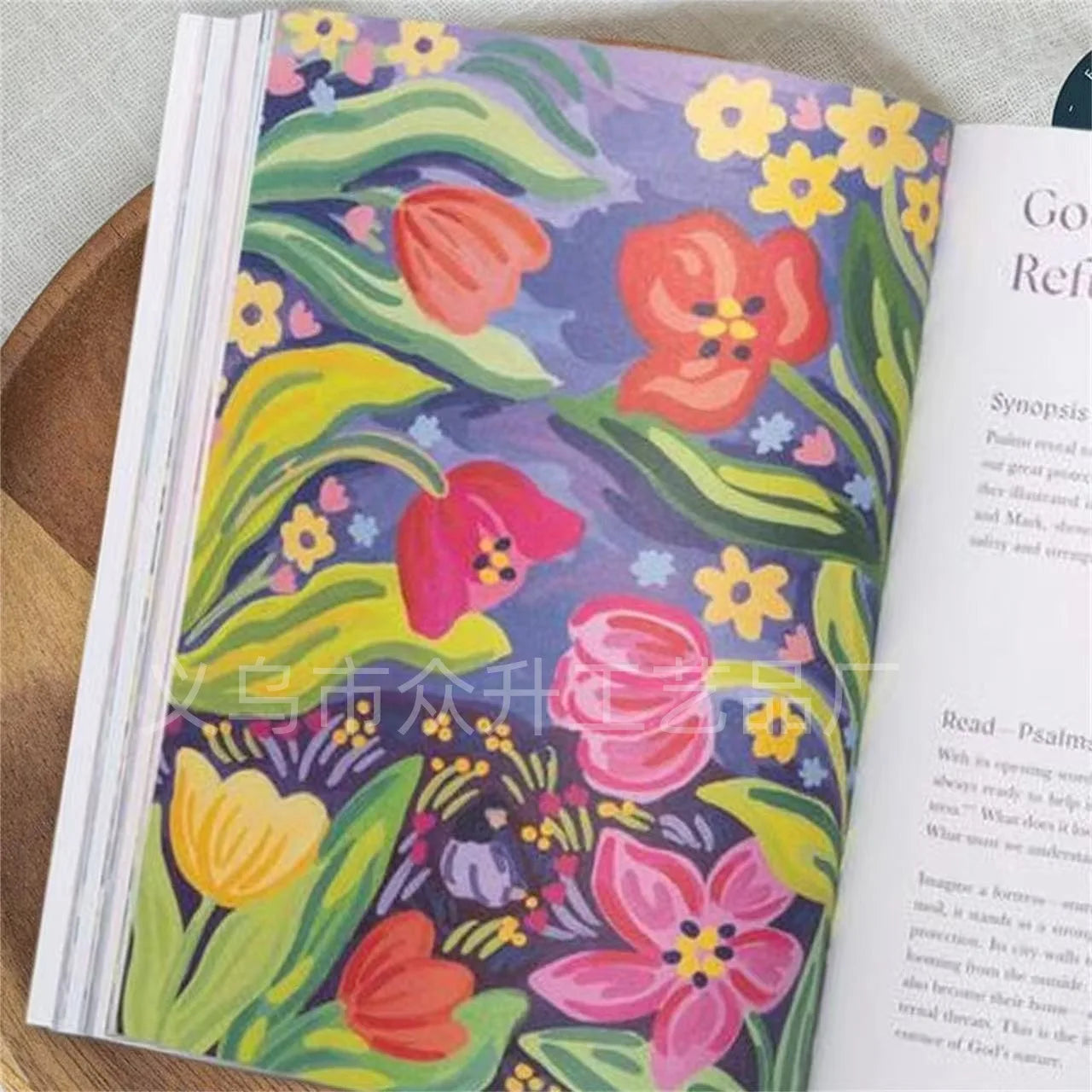 52 Week Bible Study Handbook for Women in The Beautiful Year of The Bible